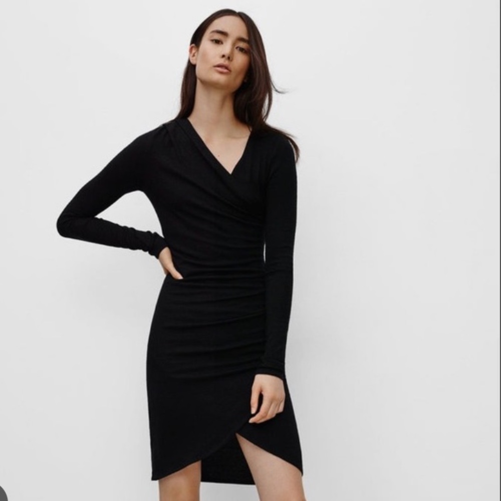 Aritzia Klum Dress